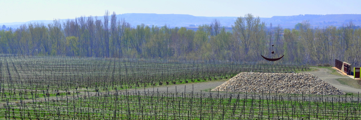 Vista de la antigua cantera convertida en el viñedo Lagravera, con sello de cultivo orgánico y biodinámico
