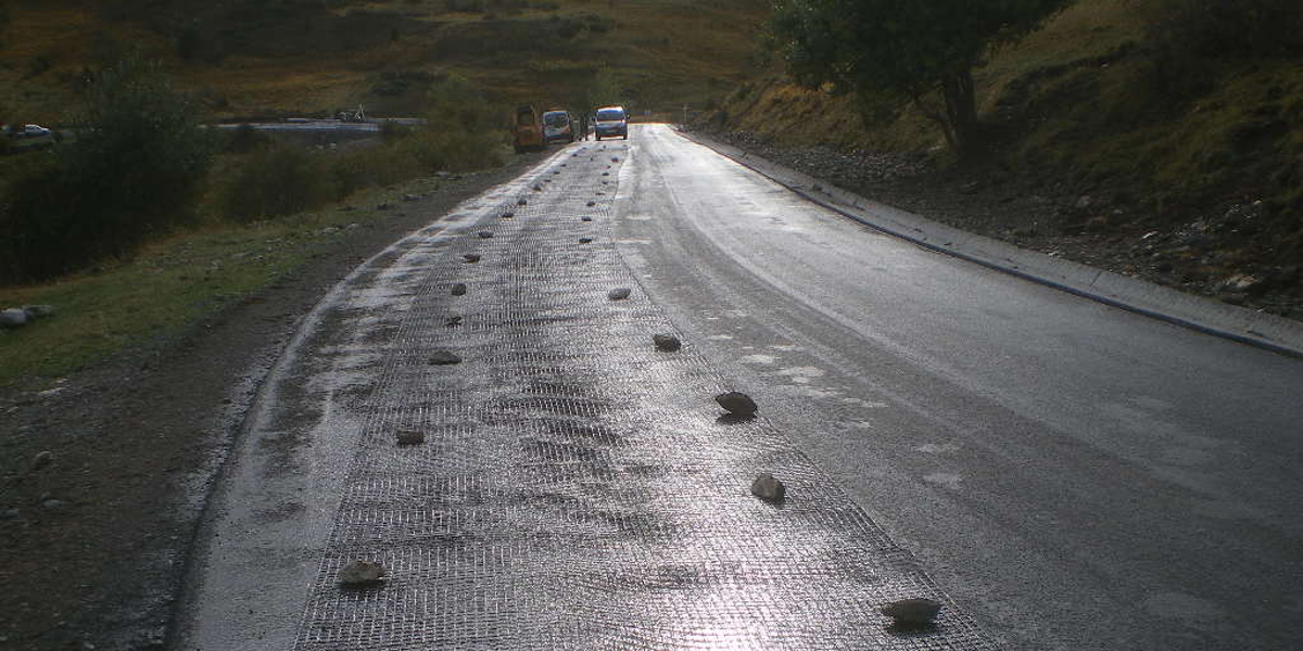 2158 Asfalt Vall de Boi-Arno (1)