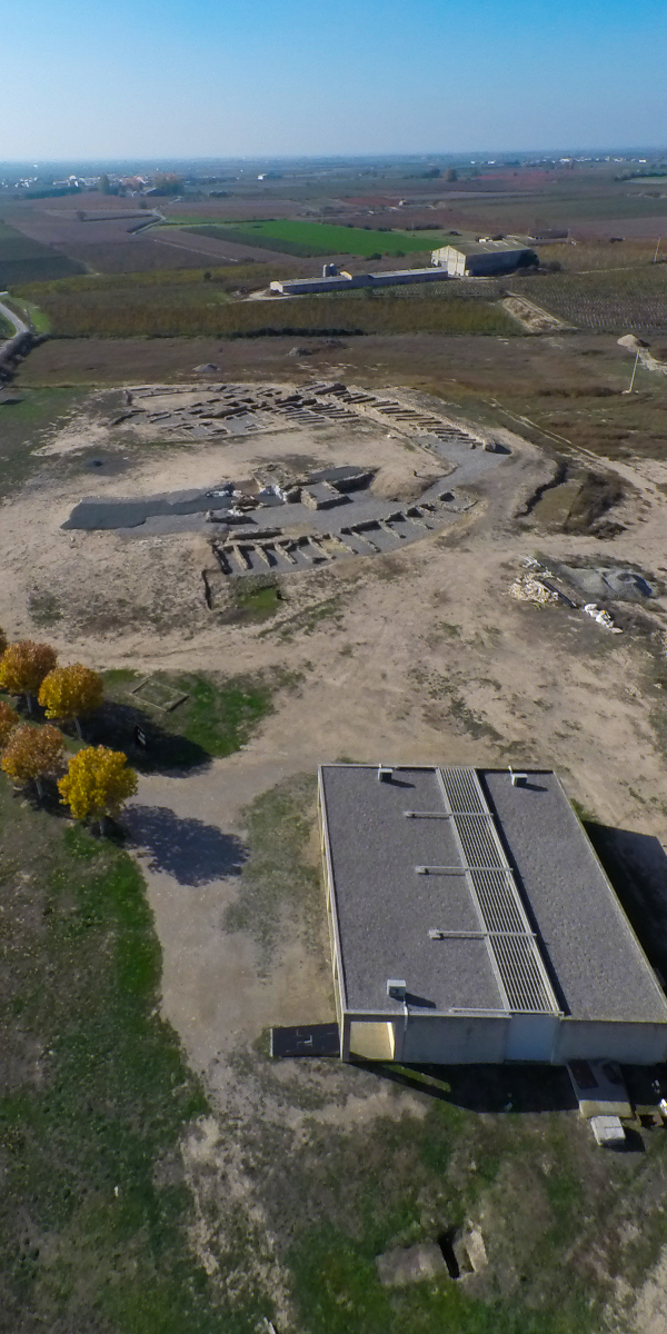 2396 Obra jaciment Cami Espigol-Tornabous-Lleida-Arno (9)