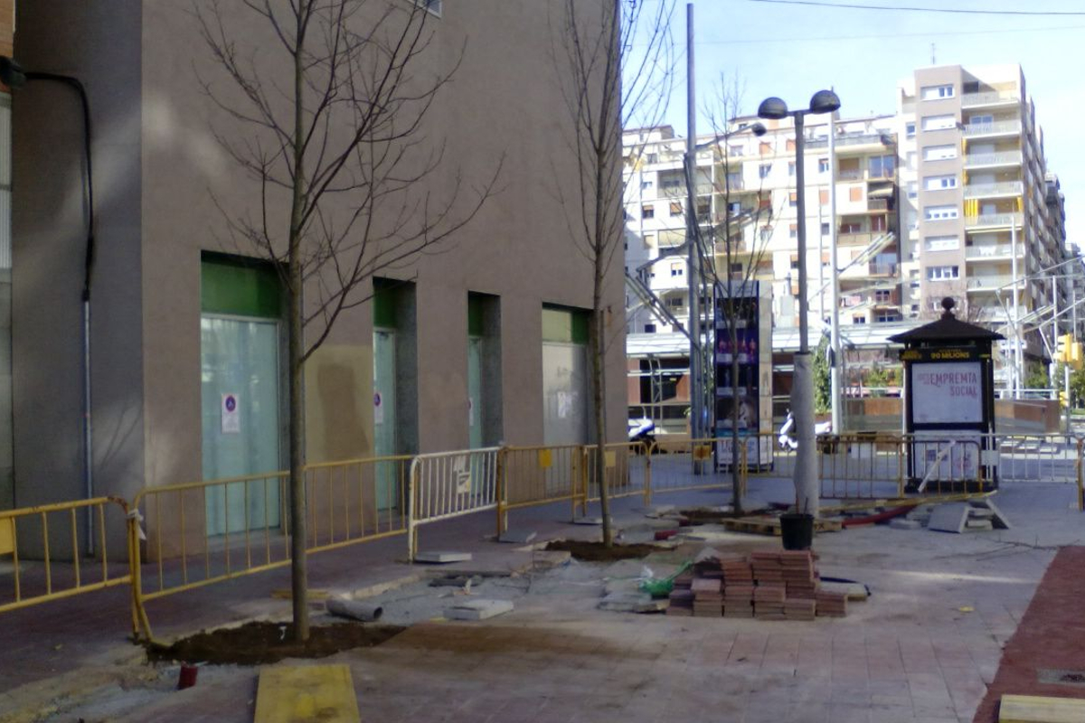 Replantación de árboles en la avenida balmes, lleida. Arnó